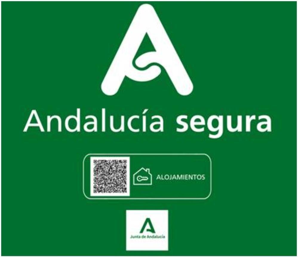 Todosierranevada Zona Baja - Apartamentos De 4 Dormitorios - Junto A Los Telecabinas Sierra Nevada Exterior photo